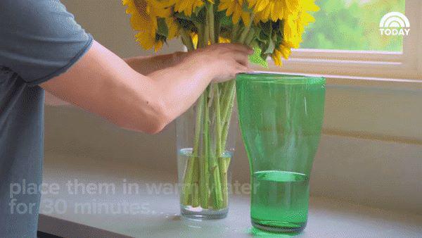 6 mẹo thần thánh giúp hồi sinh hoa héo trong 3s, người bán hoa không bao giờ nói cho bạn