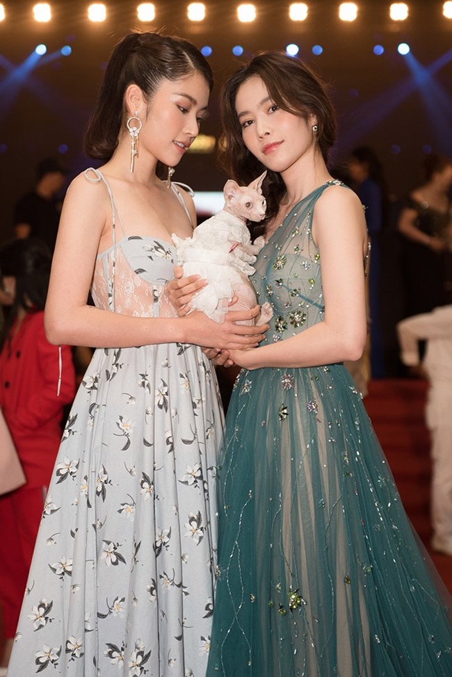 4 mỹ nhân nóng bỏng bị mời rời thảm đỏ: Angela Phương Trinh chưa phải sốc nhất! hình ảnh 10 4 my nhan nong bong bi moi roi tham do: angela phuong trinh chua phai soc nhat! hinh anh 10