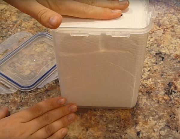 Đổ giấm vào cuộn giấy vệ sinh: Chị em tưởng vô bổ nhưng công dụng bất ngờ