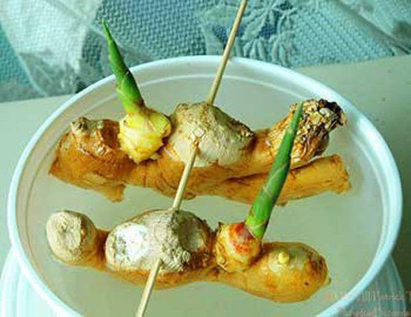 Tròn mắt nhìn vợ dùng tăm đâm vào nhánh gừng, vài tháng sau có gừng ăn tẹt ga không hết