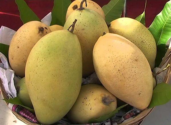 Mỗi lần gửi hoa quả mẹ đều bỏ kèm ít cát, con dâu “ngã ngửa” khi biết lý do