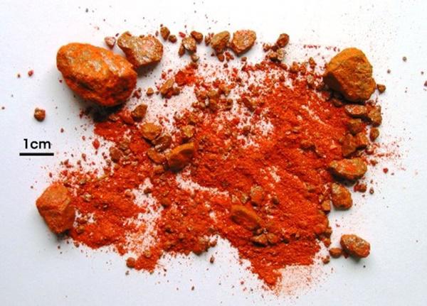 Muốn rắn không bò vào nhà hãy thử những cách này