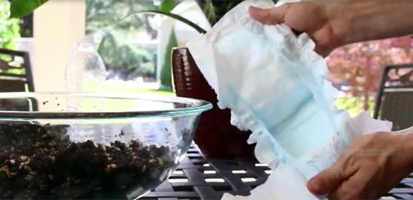 “Tiện tay” vứt bỉm của con ra vườn, mẹ trẻ kinh ngạc khi 1 tuần sau rau mọc tốt um