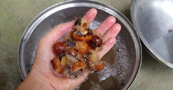 Công thức làm nước rửa bát từ quả bồ hòn siêu dễ chị em đang “lùng sục” khắp nơi