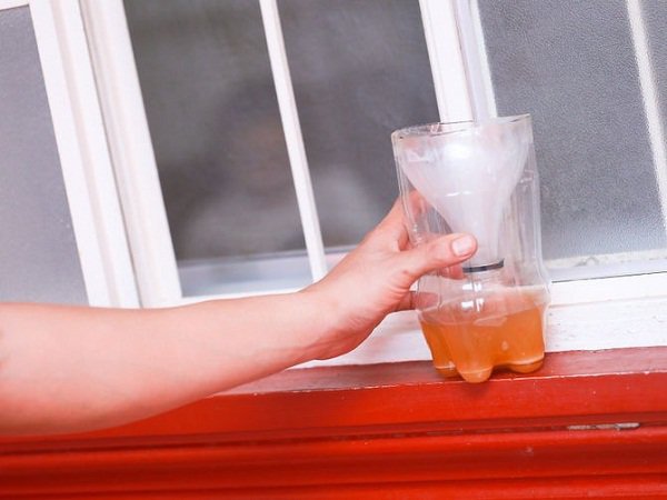 Cắt đôi chai nhựa lồng vào nhau theo cách này, sáng ra “tá hỏa” thấy điều lạ lùng