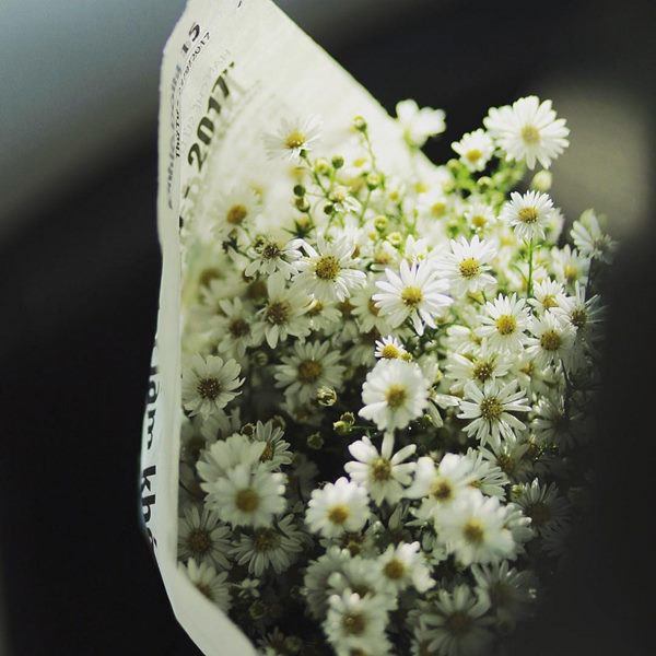 Cho 1 thìa muối vào bình hoa cúc họa mi, chơi cả tuần không thối, không hỏng, đẹp mê li