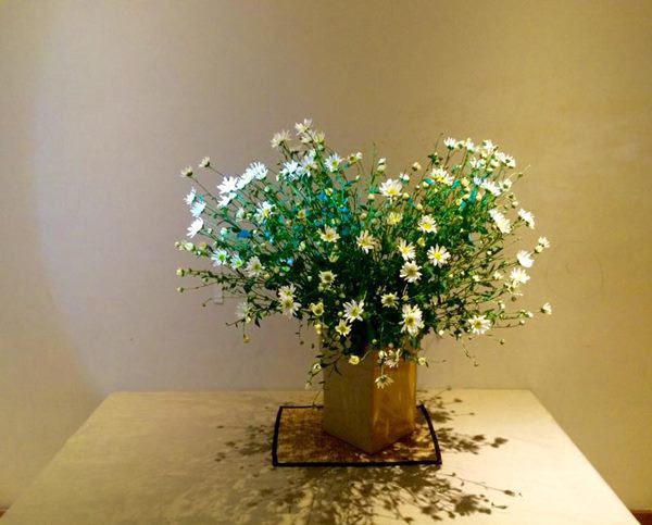 Cho 1 thìa muối vào bình hoa cúc họa mi, chơi cả tuần không thối, không hỏng, đẹp mê li