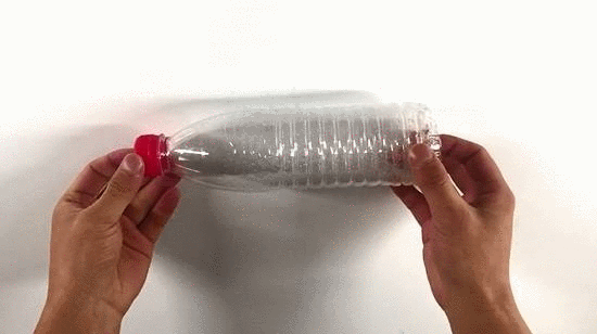 Lấy chai nhựa vứt xuống bồn cầu, 10 phút sau vợ hớt hải gọi chồng ra xem điều đặc biệt