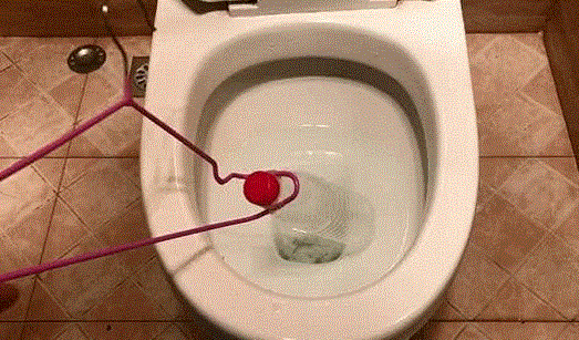 Lấy chai nhựa vứt xuống bồn cầu, 10 phút sau vợ hớt hải gọi chồng ra xem điều đặc biệt