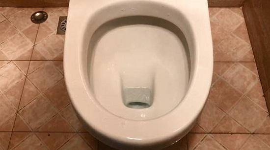 Lấy chai nhựa vứt xuống bồn cầu, 10 phút sau vợ hớt hải gọi chồng ra xem điều đặc biệt