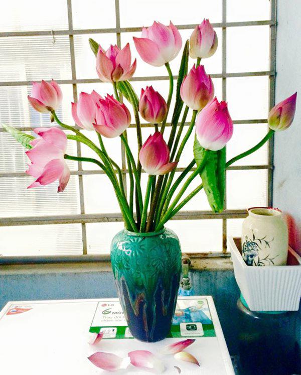 Thả 2 viên aspirin vào bình hoa sen, chơi cả tuần không hỏng, các mẹ sướng rơn