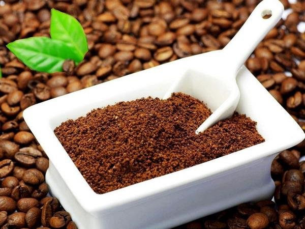 Uống cà phê xong đừng vội bỏ bã, tận dụng theo cách này sẽ thấy thành quả bất ngờ